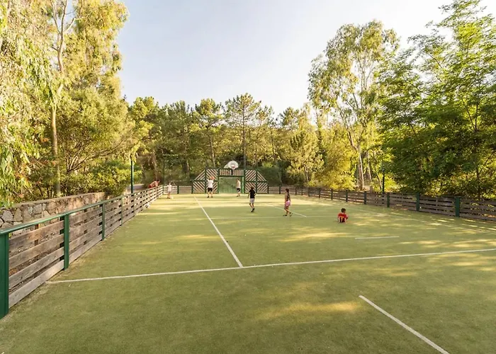 Le Papyrus -t2 Domaine Pierres Et 