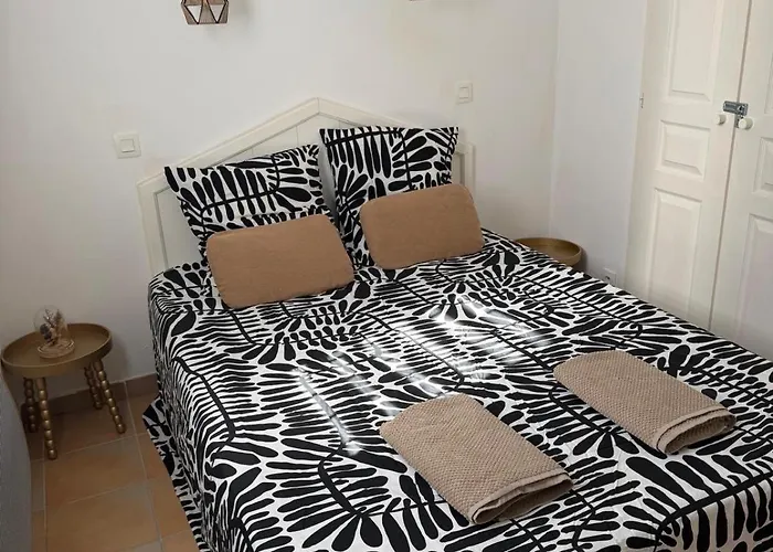 Le Papyrus -t2 Domaine Pierres Et 